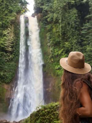 изображение № 2 от Бали/Ловина: Делфин с шнорхел, плуване и водопад за дейност из Бали, качено от доставчика