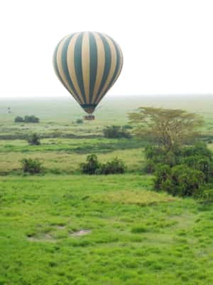 image n.2 of 3-Day Experience Wildlife and Hot Air Balloon Adventures activity in Mara Region, uploaded by supplier
