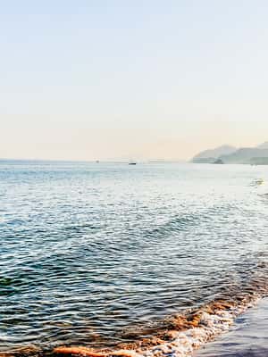 image n.2 of From Dubai: Snorkeling Trip to Dibba Al-Fujairah activity in Dubai, uploaded by supplier