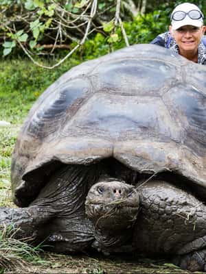 image n.2 of Galapagos GPS Airport Transfers and highlights Tours activity in Galápagos Islands, uploaded by supplier