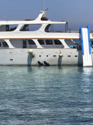 image n.2 of Protaras: Luxury Sunset Yacht Trip with Slide, BBQ & 1 Drink activity in Nicosia District, uploaded by supplier