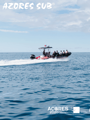 bilde nr.2 av Båttur rundt øya Vila Franca do Campo på Azorene aktivitet i Azorene, lastet opp av leverandør