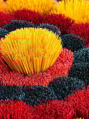 Pramogos teikėjo įkelta pramogos „Pusdienio religinė ekskursija po Hue tvirtovę“, Hue, Vietnamas, nuotrauka (2)