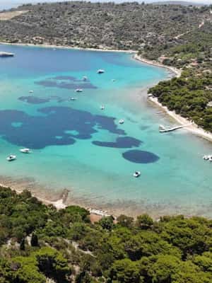billede nr.2 af aktiviteten Fra Trogir: 3 øer halvdagstur med Blå Lagune i Dalmatien, uploadet af udbyder