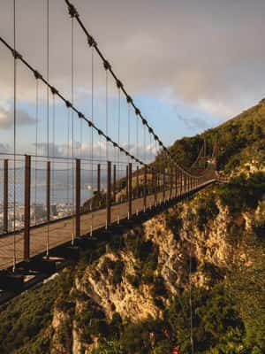 imagen n.º 2 de Gibraltar: Ticket de entrada a la Reserva Natural del Peñón Superior actividad en Gibraltar, subida por el proveedor