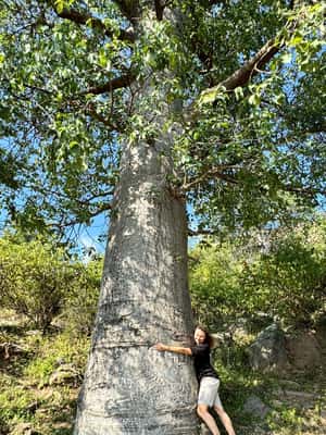 imagem n.2 de Aventura a leste de Salalah: Natureza, história e vistas panorâmicas atividade em Salalah, carregada pelo fornecedor