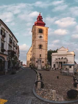 obrázok č. 2 aktivity Ptuj: Wine Hopping v najstaršom slovinskom meste v destinácii Ptuj, obrázok nahral dodávateľ