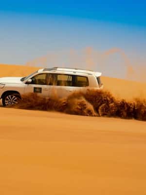 Immagine nº 2 di Dubai: Safari nel deserto con cena barbecue attività a Oman, caricata dal fornitore