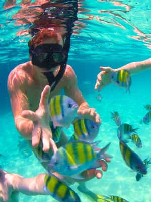 image n.2 of Cartagena: 6-Stop Rosario Islands Oceanario, Lunch & Snorkel activity in Cartagena, uploaded by supplier