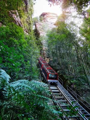 image n.2 of Sydney: Zoo, Blue Mountains and Scenic World Mandarin Tour activity in Katoomba, uploaded by supplier
