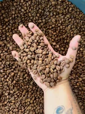 slika br. 2 iz kolekcije Obilazak uz kavu Salento-Ocaso Farma- engleski obilazak aktivnosti u mjestu Salento, Kolumbija, prenio opskrbni partner