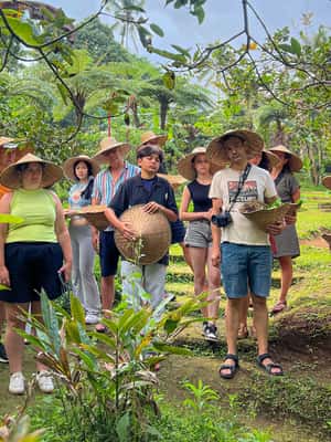 imatge núm.2 de l'activitat de Ubud: collita de granja orgànica, classe de cuina de Bali per Pemulan a Ubud, penjada pel proveïdor
