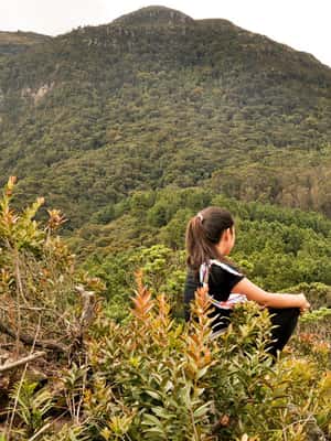 image n.2 of Bogota: East Hills Mountain Hike activity in Bogotá, uploaded by supplier