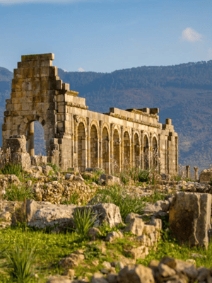 billede nr.2 af aktiviteten Dagstur til meknes, volubilis, moulay idris i Meknès, uploadet af udbyder