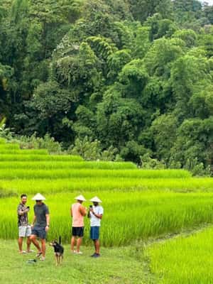 image n.2 of Chiang Mai: Doi Inthanon Park and Pha Dok Siew Trail Trek activity in Chiang Mai, uploaded by supplier