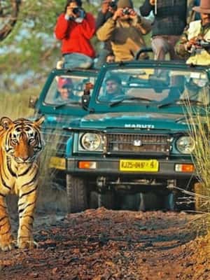imagem n.2 de De Délhi: 6 dias de carro em Délhi, Jaipur, Agra e Ranthambore atividade em Nova Delhi, carregada pelo fornecedor