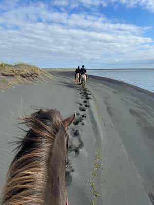 imagen n.º 2 de sur de Islandia: Excursión a caballo por la playa negra actividad en Hvolsvöllur, subida por el proveedor
