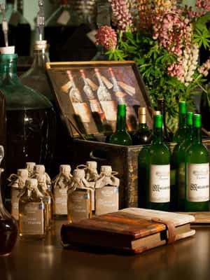 Image N°2 de Dégustation de vin à Vidzeme activité à Riga, publiée par le prestataire
