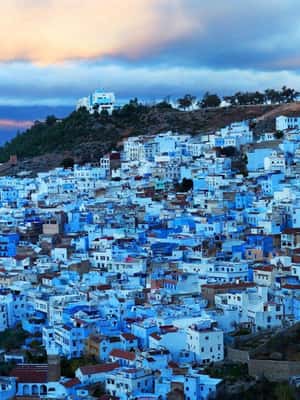 billede nr.2 af aktiviteten Fra Casablanca: 8 dages Chefchaouen, Fes og ørken-eventyr i Rabat, uploadet af udbyder