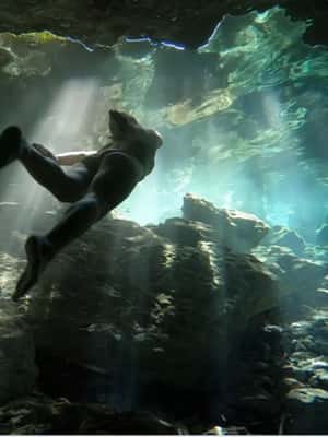 afbeelding n.2 van Riviera Maya: Tulum Ruïnes en 2 Cenoten Halve Dag Tour activiteit in Tulum, geüpload door aanbieder
