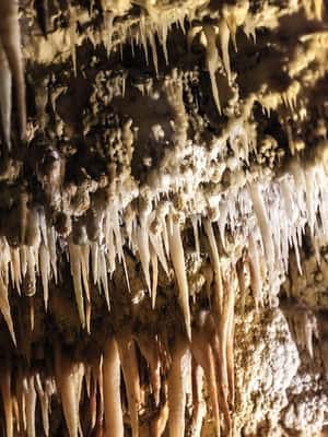 Bild Nr. 2 von Führung durch die Grotten von Castellana Aktivität in Castellana Grotte, hochgeladen vom Anbieter