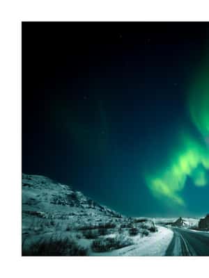 Bild Nr. 2 von Kiruna: Nordlicht-Tour mit Stejk Street Food Dinner Aktivität in Norrbotten, hochgeladen vom Anbieter