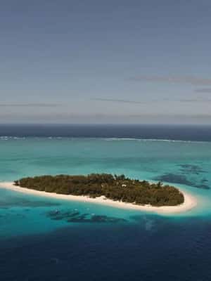 image n.2 of Mnemba Tour, Island Pongwe, Kuza Cave, Blue Lagoon, The Rock activity in Jambiani, uploaded by supplier