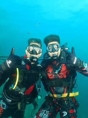 billede nr.2 af aktiviteten Phuket: 3 dyk Koh Phi Phi/Shark Point Scuba Diving dagsudflugt i Thailandbugten, uploadet af udbyder