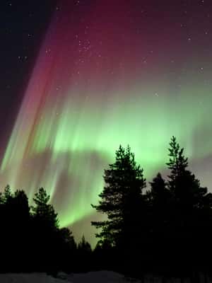 Immagine nº 2 di Saariselkä: Tour di caccia all'aurora con esperti di aurora boreale attività a Saariselkä, caricata dal fornitore