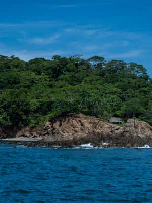 bild nr.2 av ISLA TORTUGA FRÅN SAN JOSÉ aktivitet i San José, Costa Rica, uppladdad av arrangören