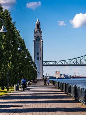 Montreal: Half-day Guided City Tour