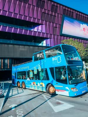 imagem n.2 de Hong Kong: Experiência turística no autocarro 360 Lantau Open-Top Bus atividade em Ilha de Lantau, carregada pelo fornecedor