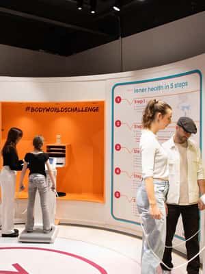 image n.2 of Body Worlds Amsterdam: The Happiness Project Ticket activity in Amsterdam, uploaded by supplier