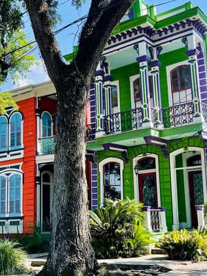 image n.2 of New Orleans: City Tour & Steamboat Daytime Jazz Cruise Combo activity in New Orleans, uploaded by supplier