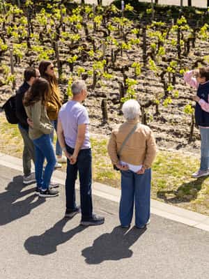 image n.2 of Médoc Morning Wine Tour - Winery & Tastings activity in Bordeaux, uploaded by supplier