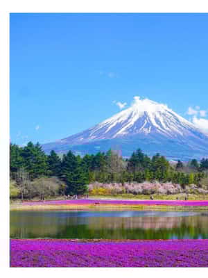 obrázek č.2 aktivity Tokio: Mt Fuji Soukromá jednodenní prohlídka s anglickým řidičem Nízká cena v destinaci Fujiyoshida, nahraný poskytovatelem aktivity