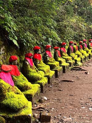Immagine nº 2 di Da Tokyo: Tour panoramico privato di Nikko di una giornata intera attività a Nikkō, caricata dal fornitore