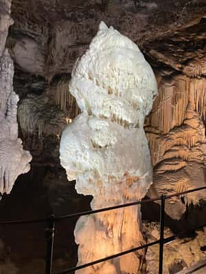 image n.2 of From Zagreb: Ljubljana, Postojna Cave & Predjama with Ticket activity in Postojna, uploaded by supplier