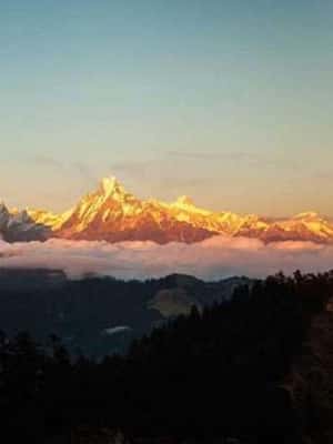 image n.2 of Pokhara: 4-Day Ghorepani, Poonhill & Ghandruk Mountain Trek activity in Ghandruk, uploaded by supplier