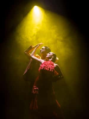 afbeelding n.2 van Tenerife: Olé Flamenco Show door Fran Chafino Ticket activiteit in Adeje, geüpload door aanbieder