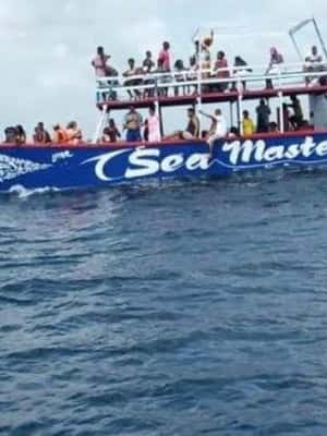 image n.2 of WATAMU,Snorkeling/dolphin spotting,seafood,mida creek cruise activity in Coast Province, uploaded by supplier