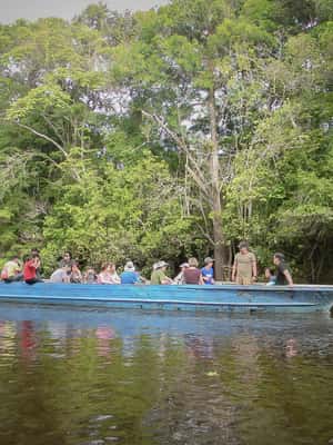 image n.2 of Iquitos : Amazon Two-Day Adventure activity in Huanuco Region, uploaded by supplier