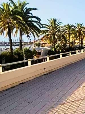 image n.2 of From Viareggio to Barcelona: Mediterranean Bike Adventure activity in Barcelona, uploaded by supplier