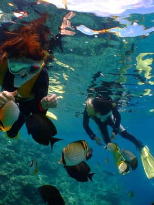 image n.2 of Okinawa : Kerama Whole Day Snorkeling Tour From Chatan activity in Okinawa, uploaded by supplier