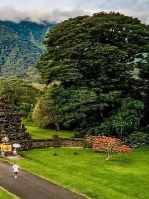 2. fotó – A legjobb észak-bali látnivalók a Tanah Lot templom túrával – program helye: Kuta, feltöltötte a programszervező