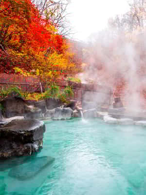 obrázek č.2 aktivity Celodenní soukromá prohlídka Mount Fuji - Hakone a Onsen v destinaci Fujiyoshida, nahraný poskytovatelem aktivity