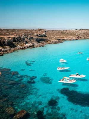 image n.2 of From Trapani: Favignana and Levanzo Full Day Cruise activity in Sicily, uploaded by supplier