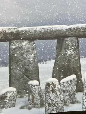 Obraz nr 2 z atrakcji Z Southampton: Prywatna wycieczka 1-dniowa Stonehenge & Salisbury w Salisbury, przesłany przez organizatora