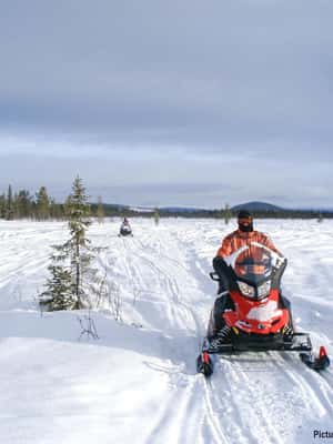 image n.2 of Polar Nature Tour on Snowmobile activity in Kiruna, uploaded by supplier