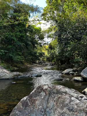 billede nr.2 af aktiviteten El Yunque Rainforest: Vandfald, vandrutsjebaner og reb-sving i Río Grande, Puerto Rico, uploadet af udbyder
